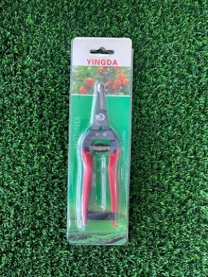 قیچی میوه چین سرکج بینگداyingda - 1